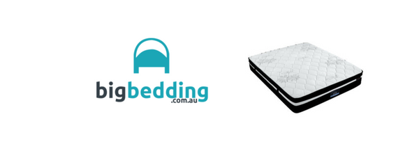 Best Plush and Firm Mattress for Back Pain