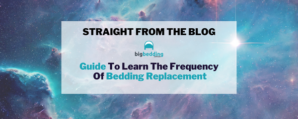 Guide To Learn The Frequency Of Bedding Replacement