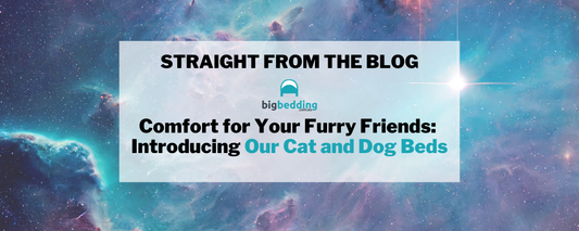 Comfort for Your Furry Friends: Introducing Our Cat and Dog Beds