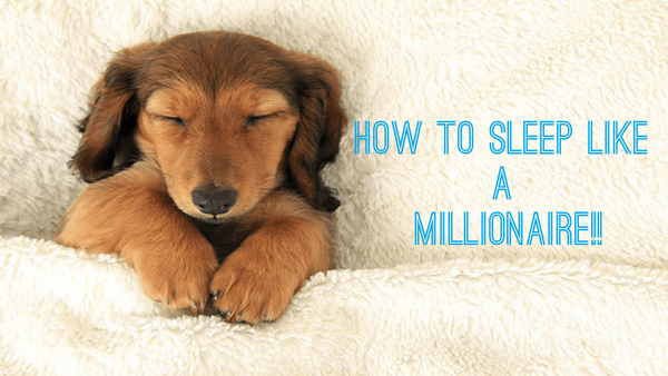 How to Sleep like a Millionaire?