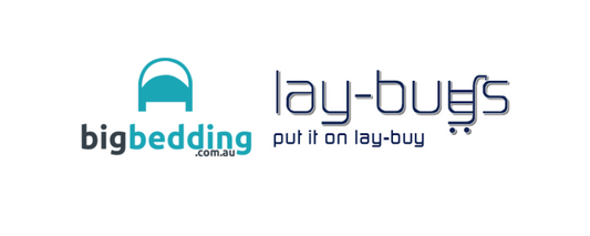 ***NEWS - PUT IT ON LAY-BUY powered by PayPal