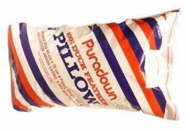 Puradown 100% Duck Feather Pillow Puradown