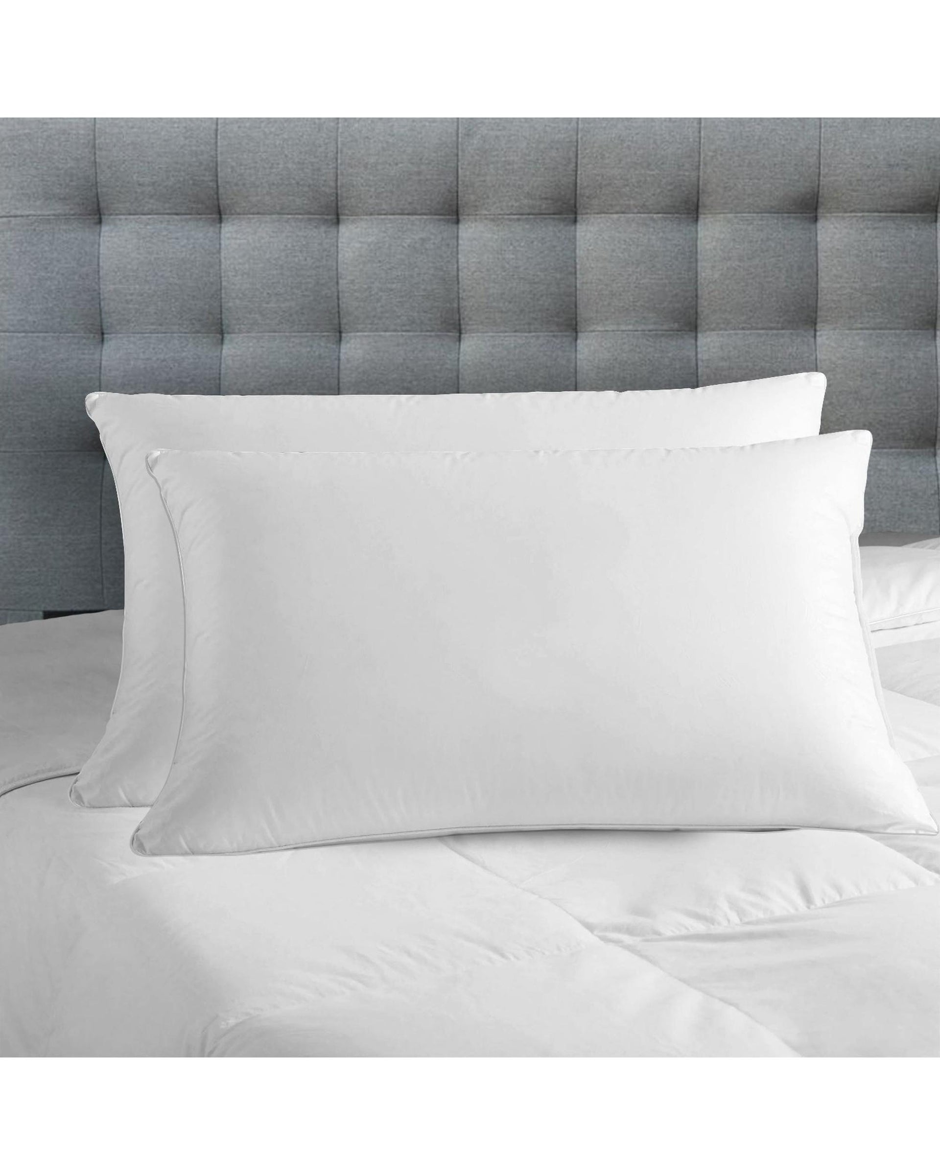 Royal Comfort Luxury Bamboo Blend Gusset Pillow Twin Pack 4cm Gusset Support Royal Comfort