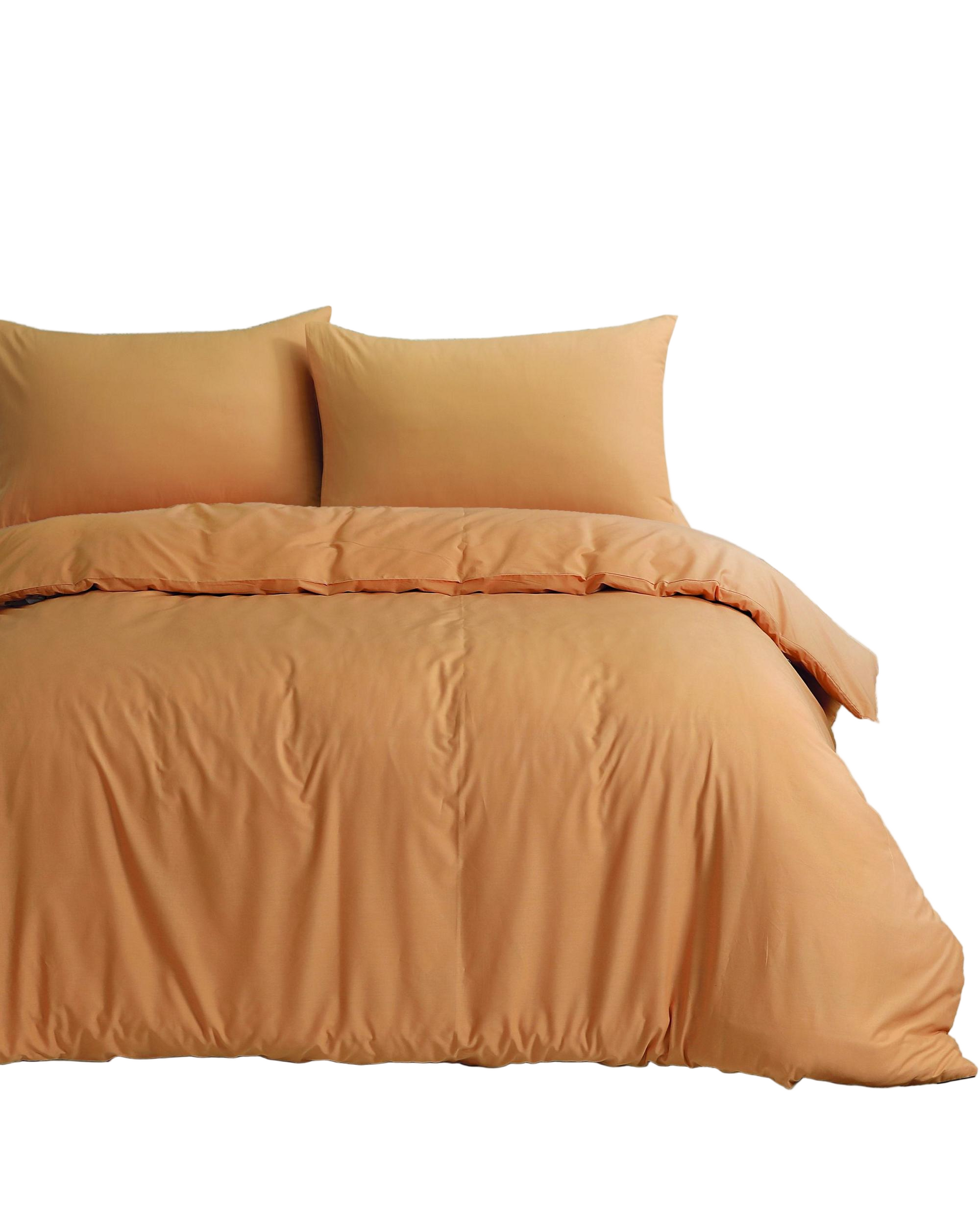 Amsons Royale Cotton Latte Quilt Cover Set with extra standard pillowcases Amsons