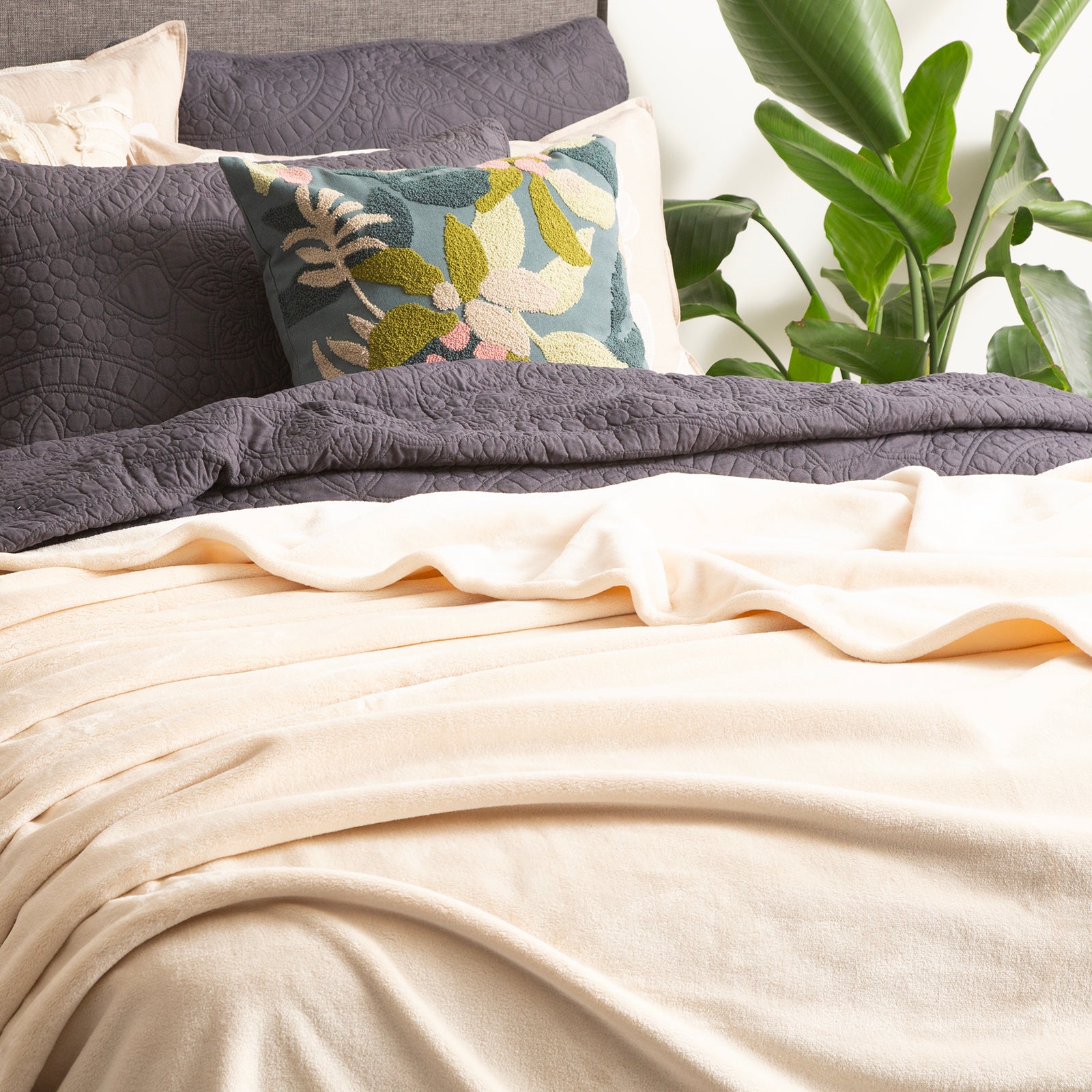 Renee Taylor Plush 380 GSM Ultra Soft Velvet Blanket - STONE Renee Taylor