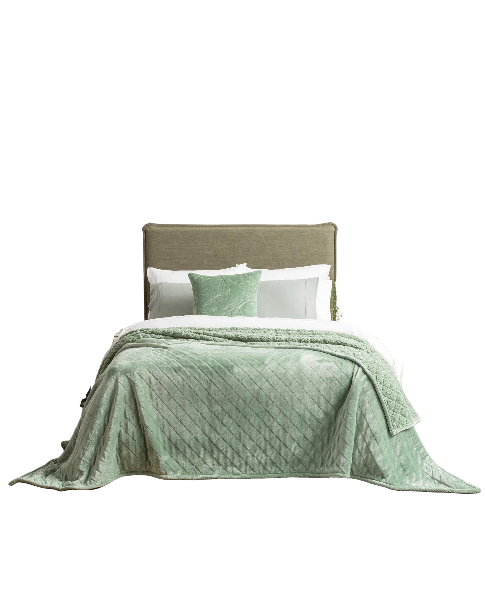 Renee Taylor Heston 480 GSM Ultra Soft Velvet Sherpa Blanket - EUCALYPTUS Renee Taylor