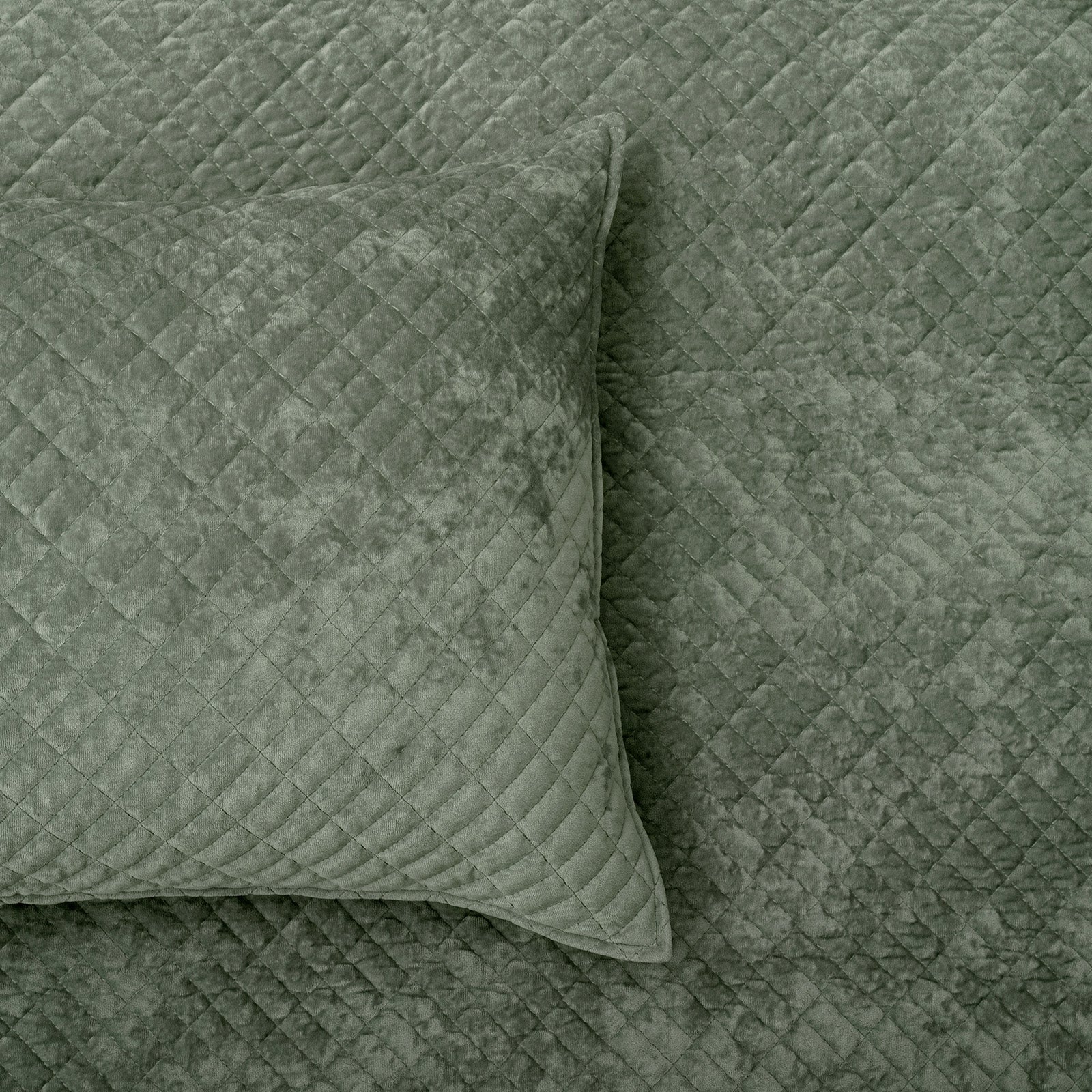 Renee Taylor Archie Cross Stitch Velvet Coverlet Set