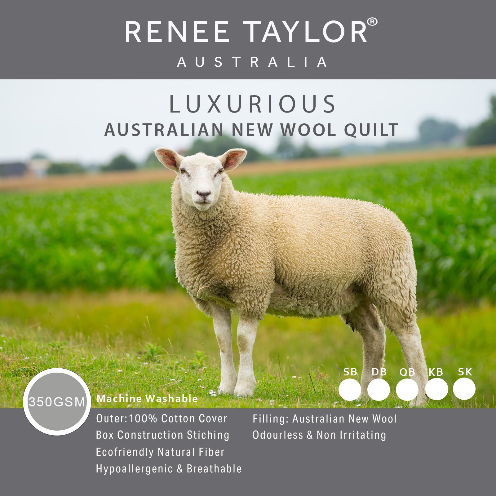 Renee Taylor Luxurious Australian Wool Quilt 350 GSM