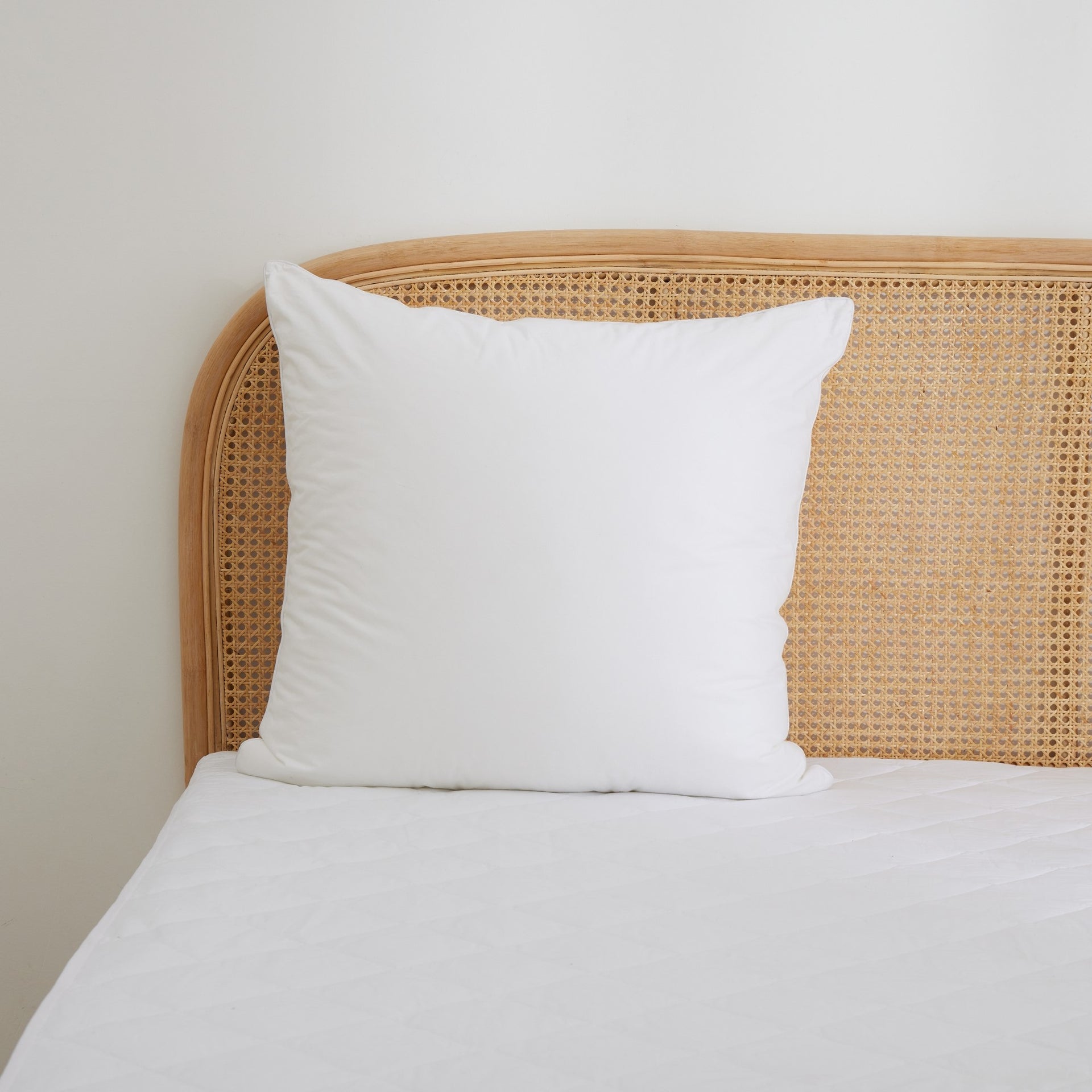 Dreamaker Down Alternative Microfibre European Pillow  65X65Cm