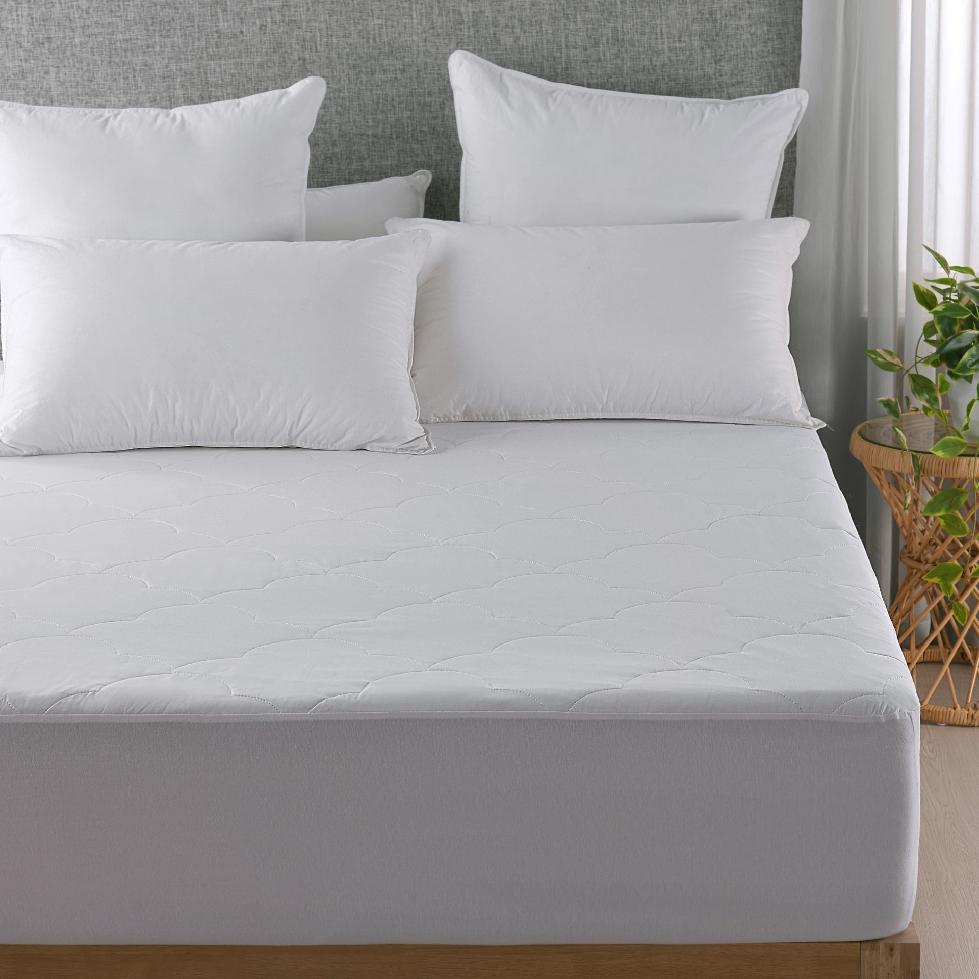 Dreamaker Quilted Cotton Filled Mattress Protector
