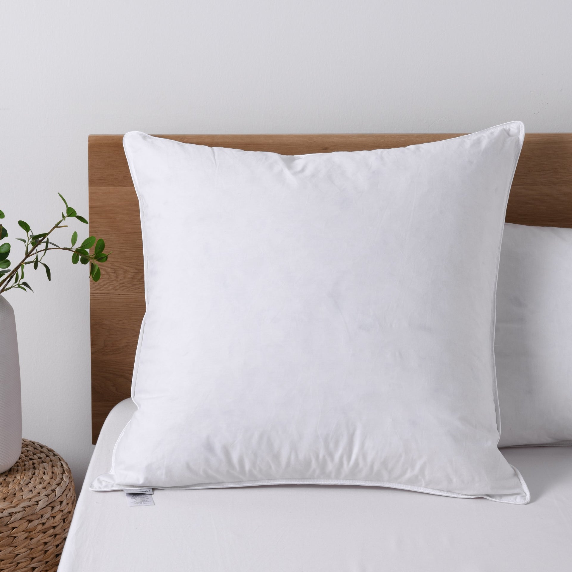 Dreamaker Goose Feather And Down Euro Pillow