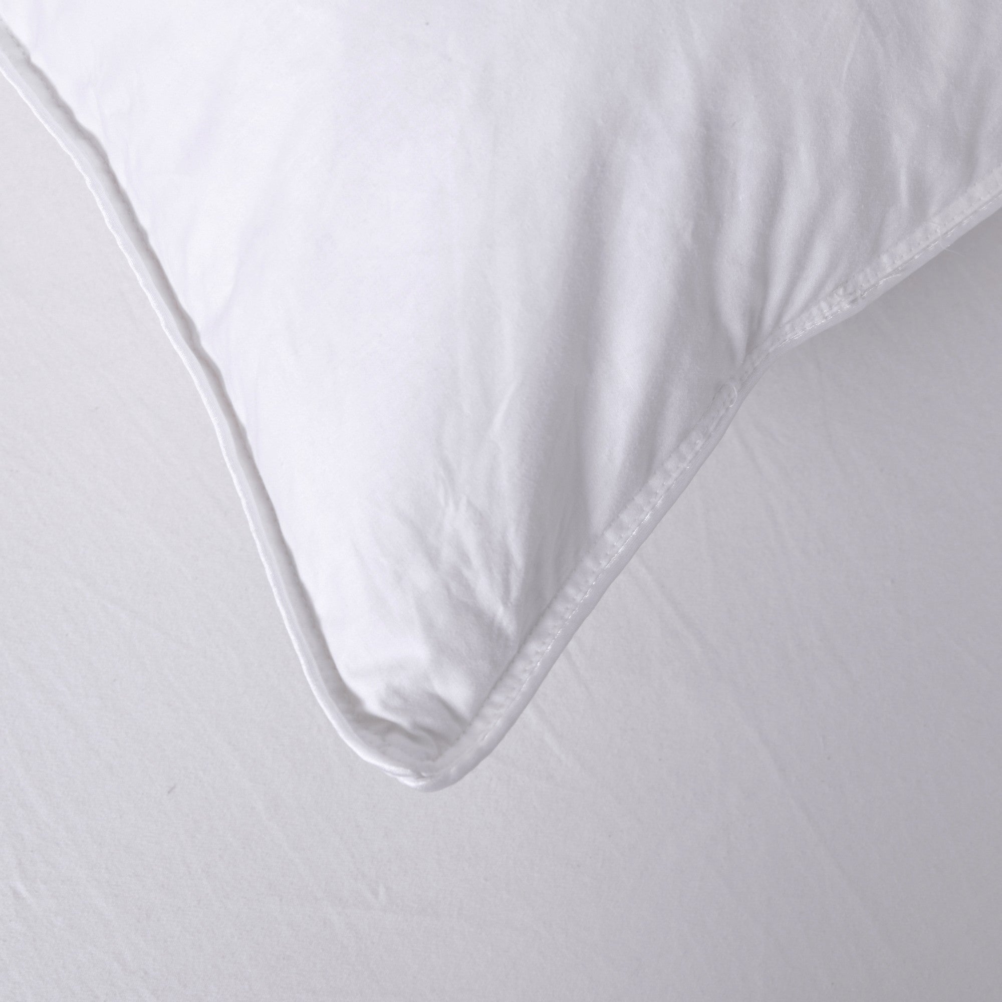Dreamaker Goose Feather And Down Euro Pillow