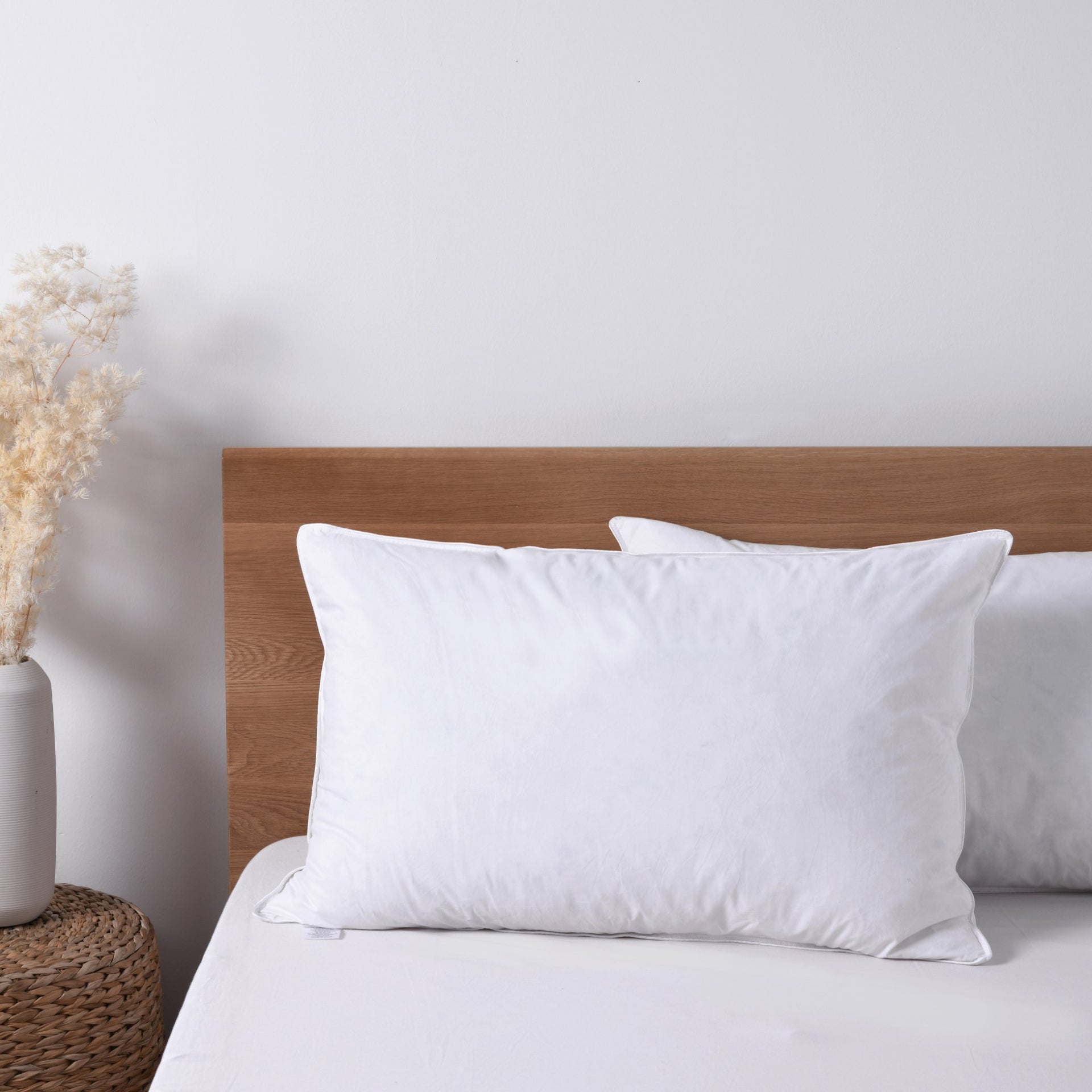 Dreamaker Goose Feather And Down Standard Pillow