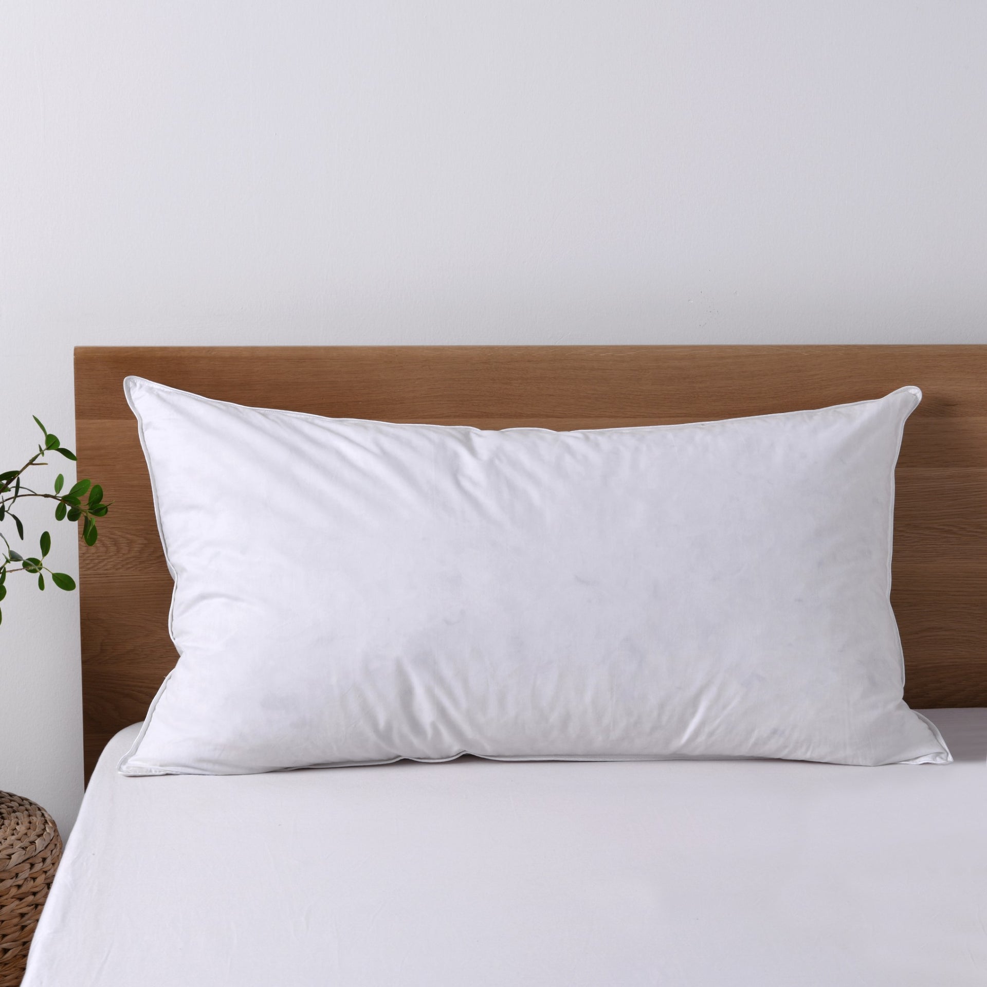 Dreamaker Goose Feather And Down  Pillow