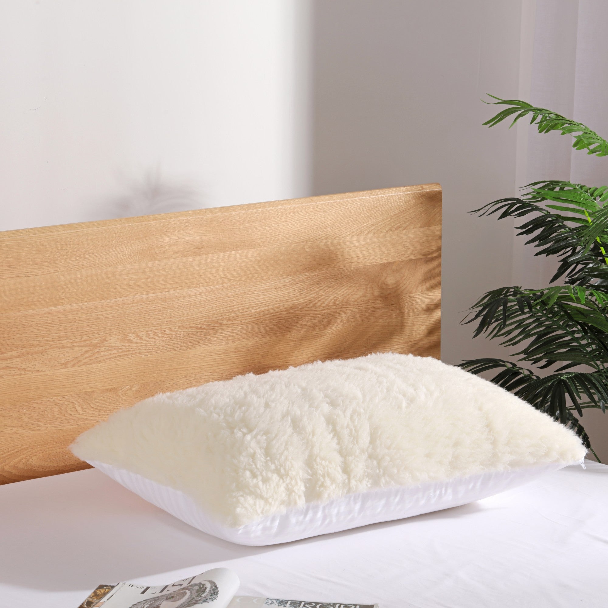 Dreamaker Wool Pillow Protector Natural Standard 48X73Cm