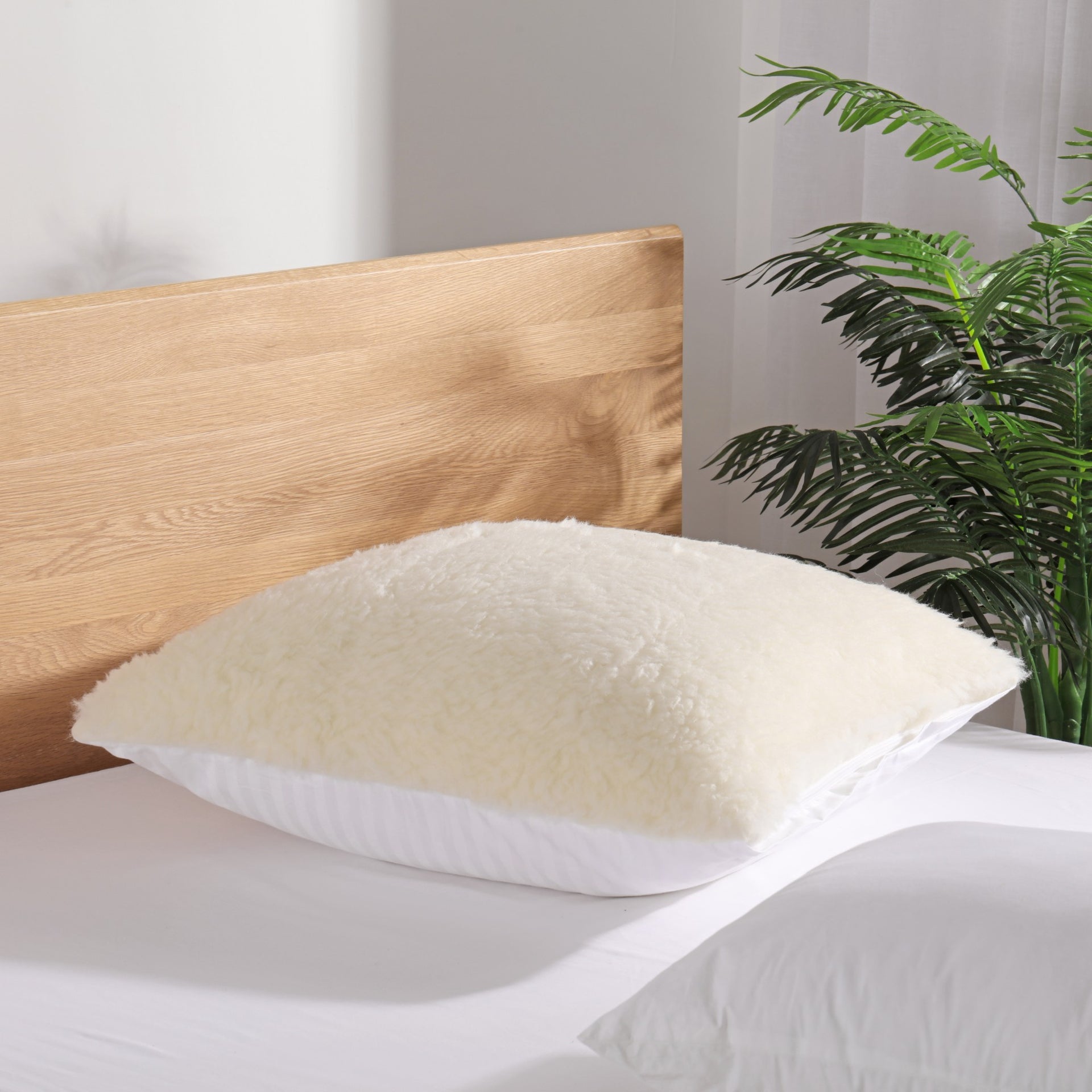 Dreamaker Wool Pillow Protector Natural European 65X65Cm