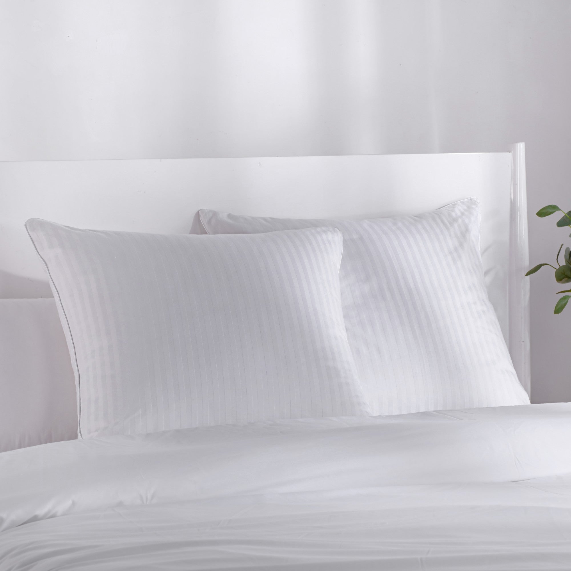 Dreamaker Premium 100% Cotton European Pillow Protector Twin Pack White 65X65Cm