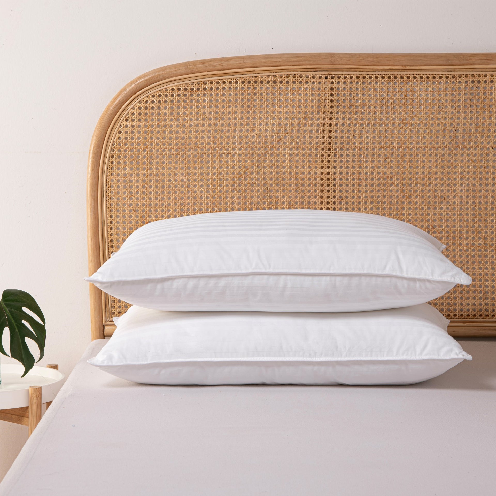Dreamaker Hotel Collection Cotton Sateen Cover Microfibre Pillow Standard Twin Pack