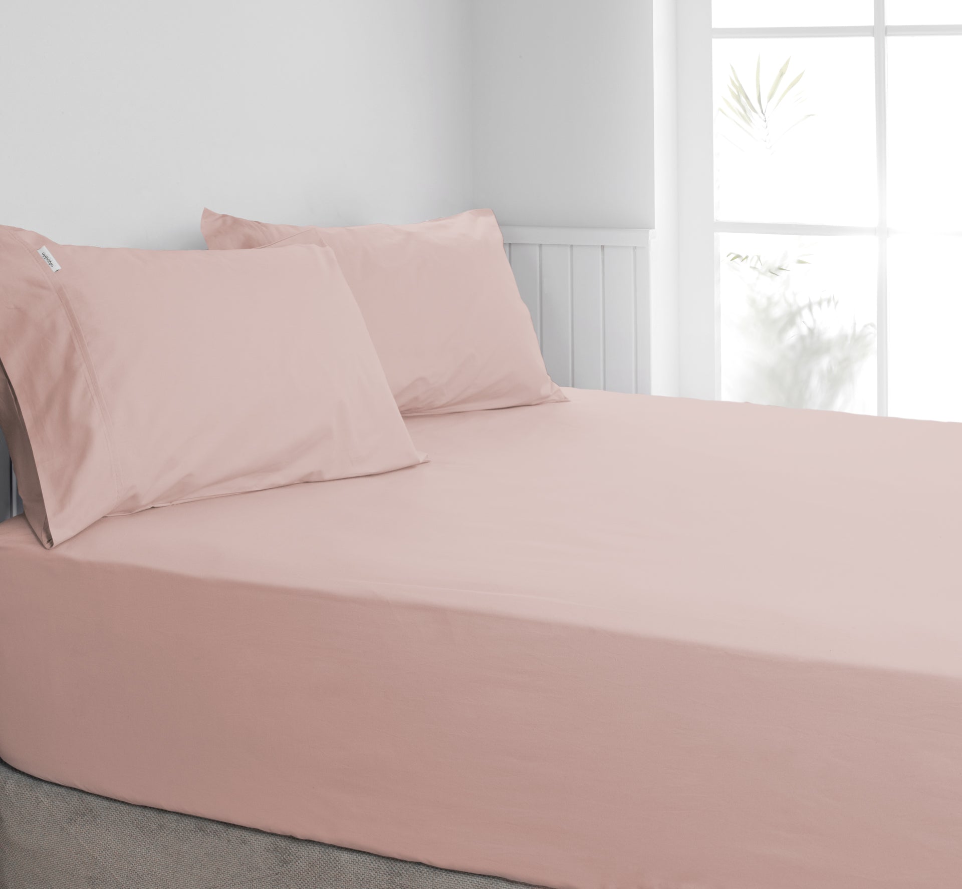 ALGODON "300TC Cotton" FITTED SHEET Combo Set - PINK Algodon