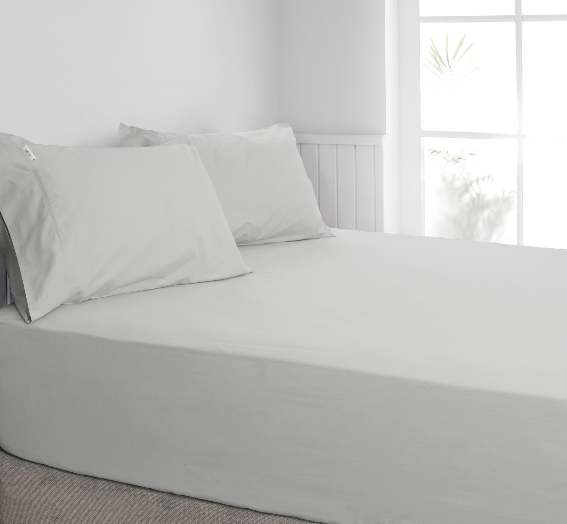 ALGODON "300TC Cotton" FITTED SHEET Combo Set - SILVER Algodon