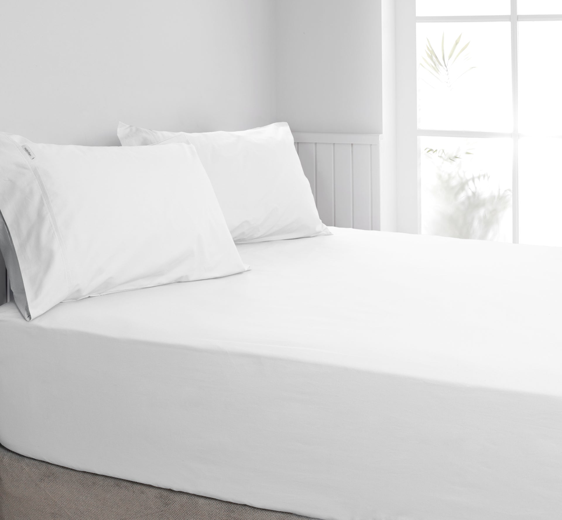 ALGODON "300TC Cotton" FITTED SHEET Combo Set - WHITE Algodon