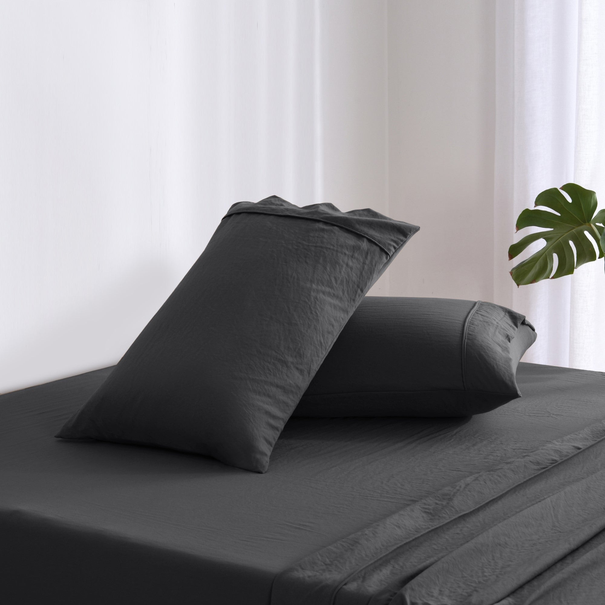 Dreamaker Fine Washed Microfibre Sheet Set Black