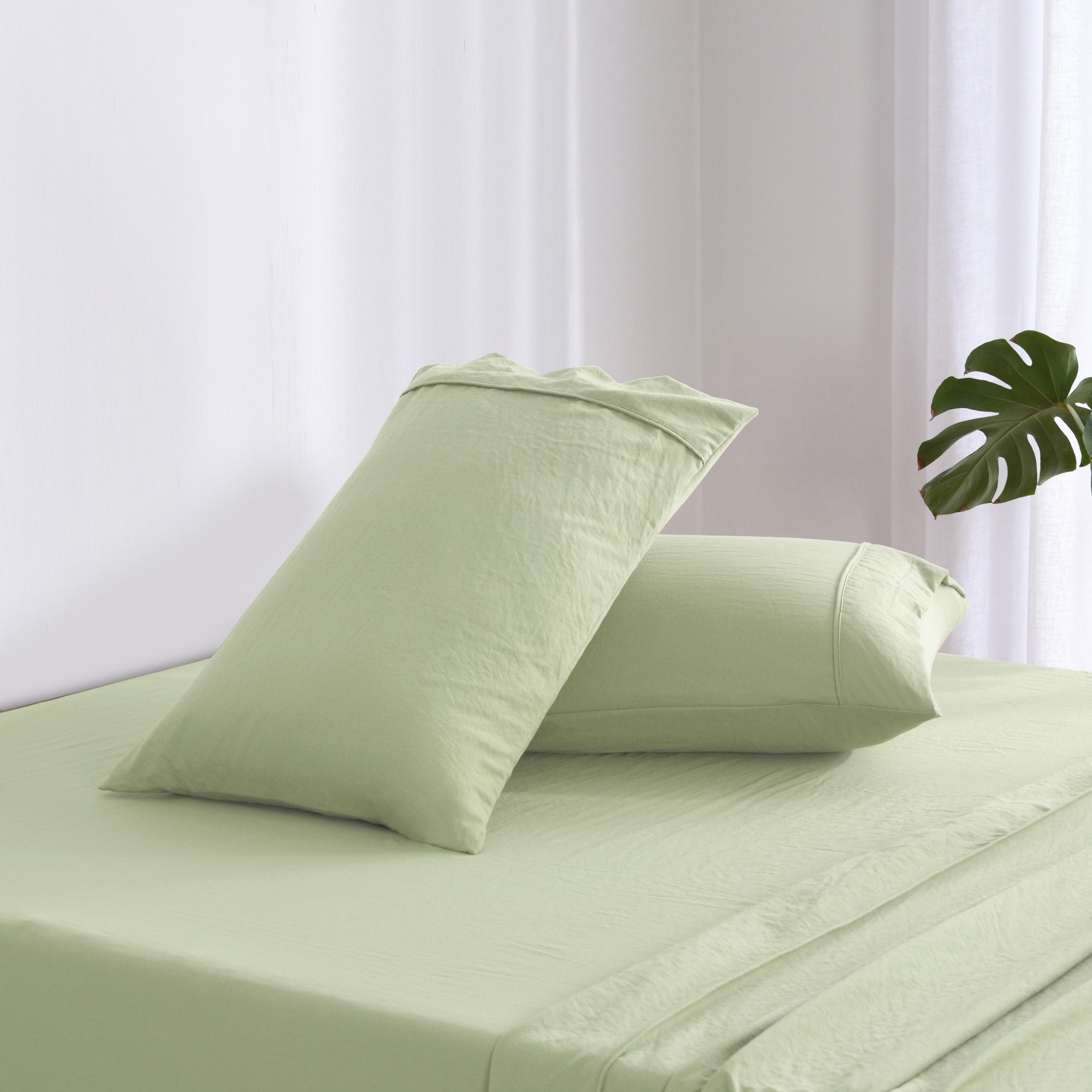 Dreamaker Fine Washed Microfibre Sheet Set Sage Green