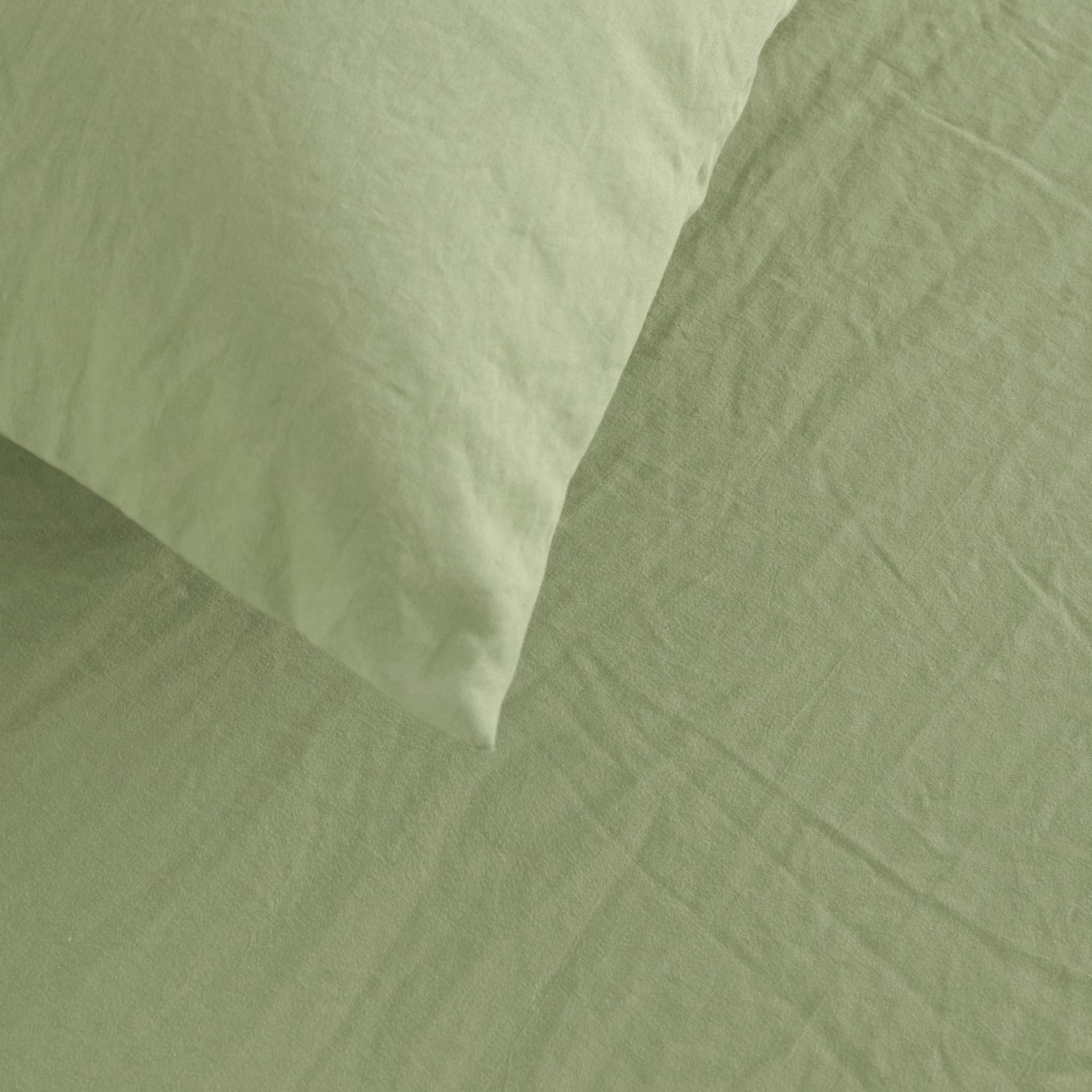 Dreamaker Fine Washed Microfibre European Pillowcase Sage Green