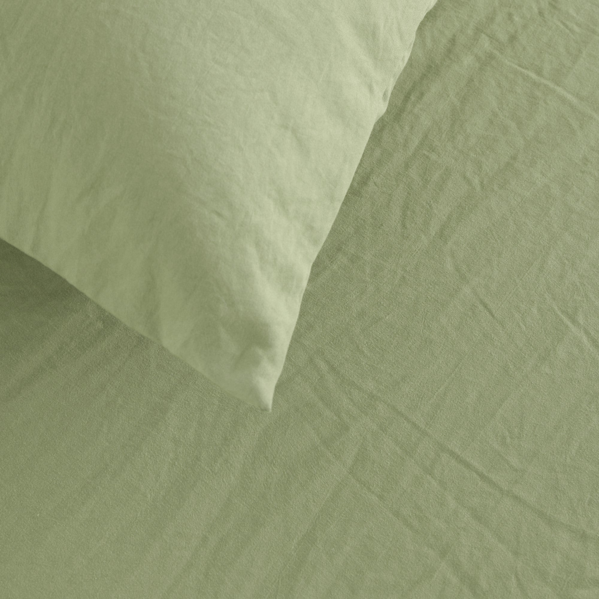 Dreamaker Fine Washed Microfibre European Pillowcase Sage Green