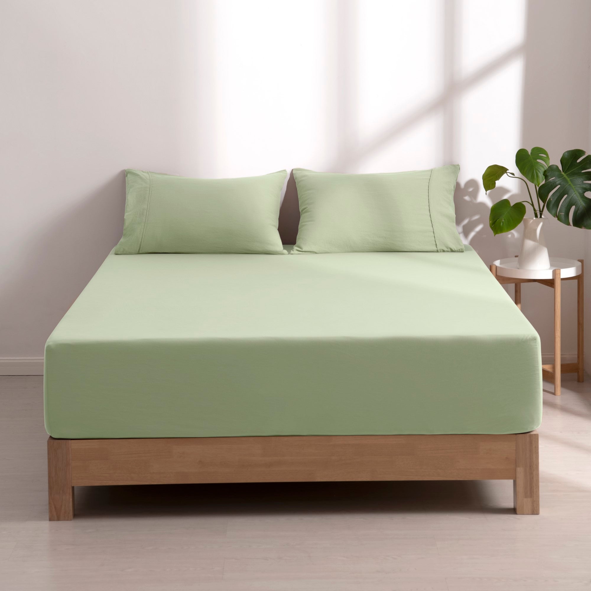 Dreamaker Fine Washed Microfibre Combo Fitted Sheet Set Sage Green