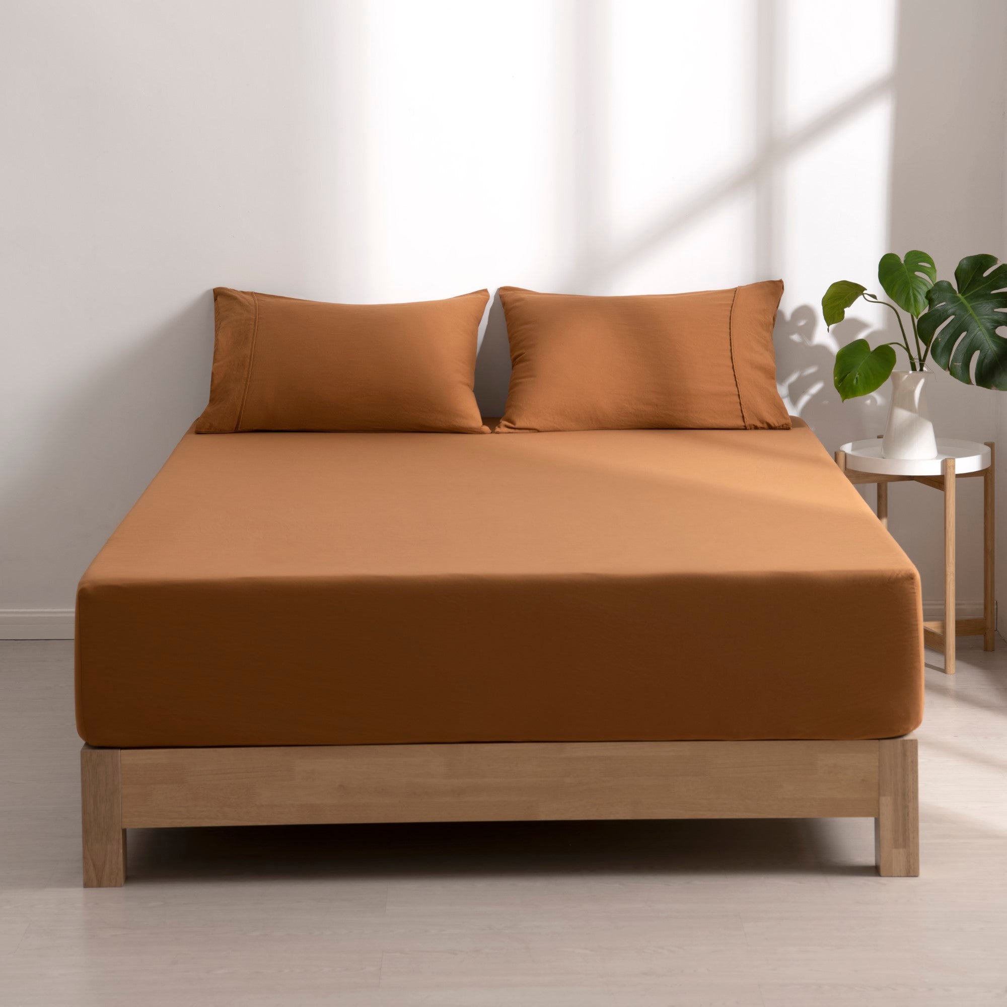 Dreamaker Fine Washed Microfibre Combo Fitted Sheet Set Rust