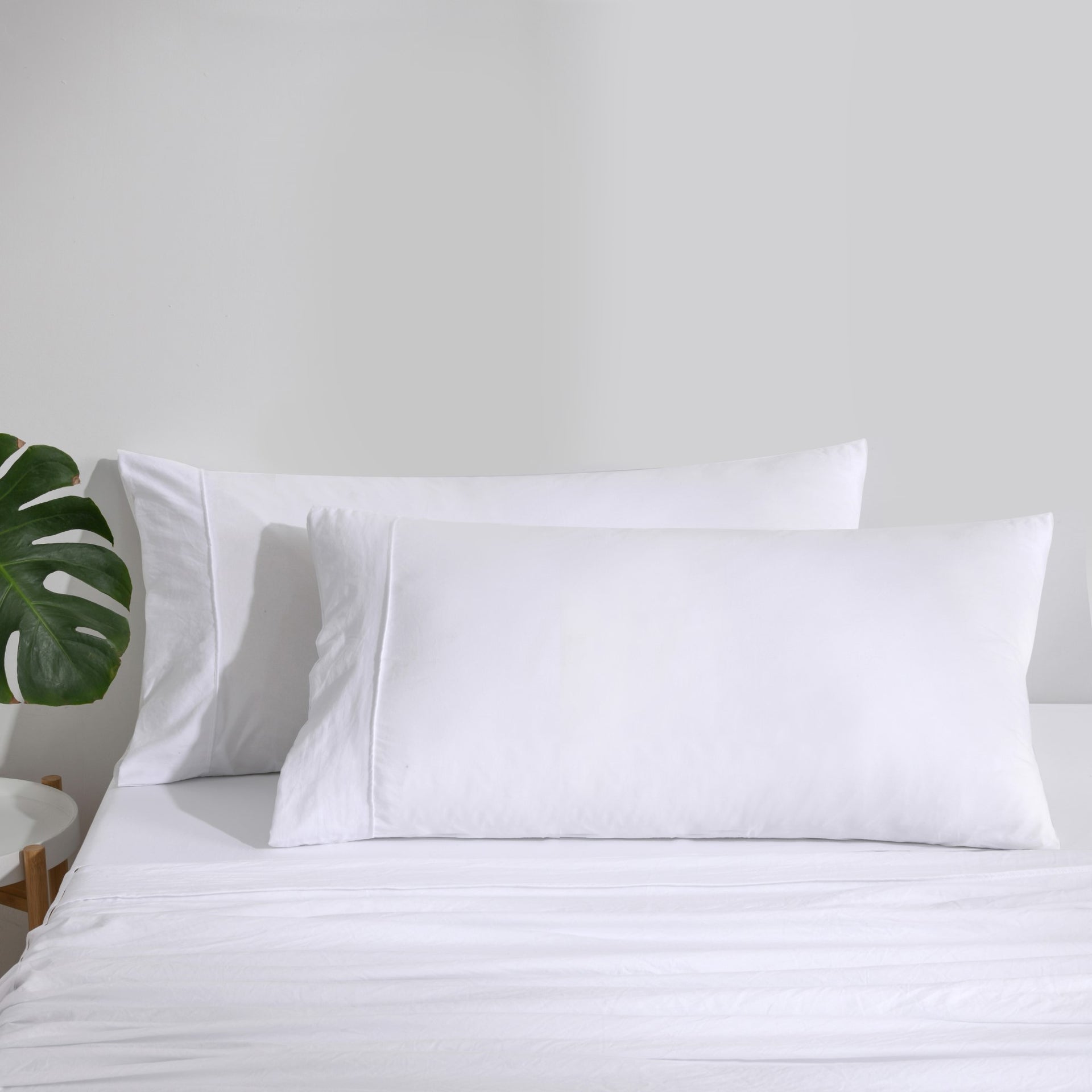 Dreamaker Fine Washed Microfibre  Pillowcase Twin Pack  White