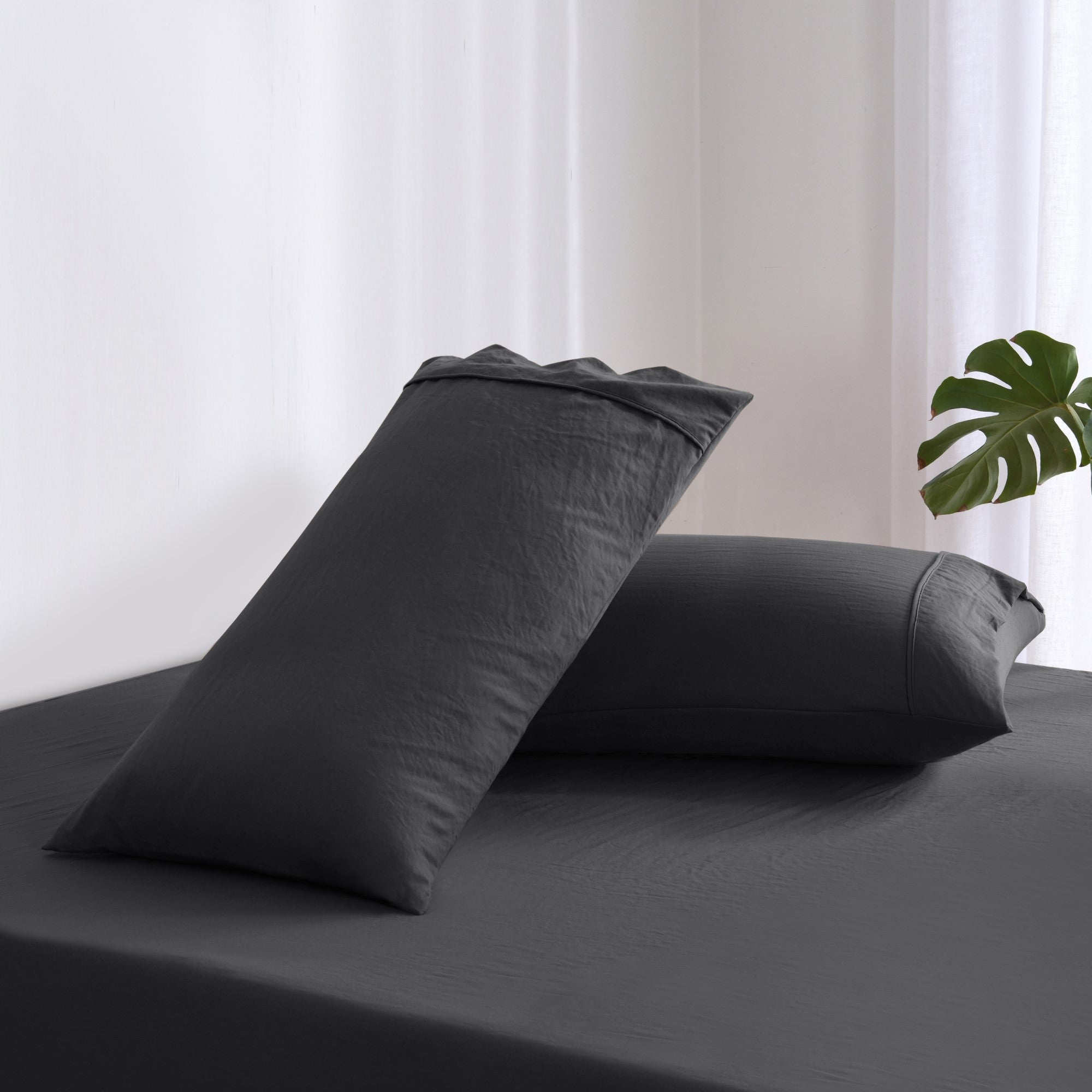 Dreamaker Fine Washed Microfibre  Pillowcase Twin Pack  Black