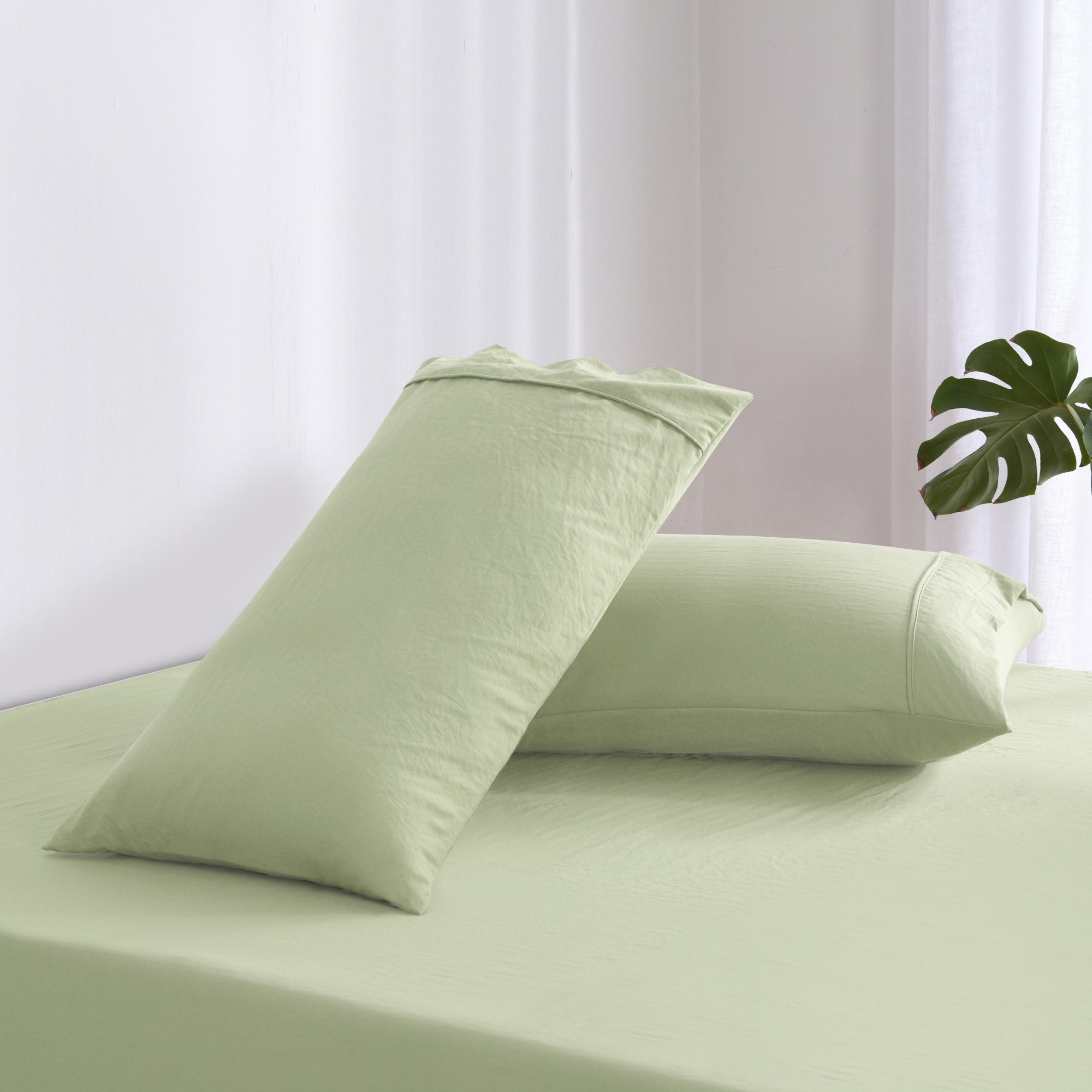 Dreamaker Fine Washed Microfibre  Pillowcase Twin Pack  Sage Green