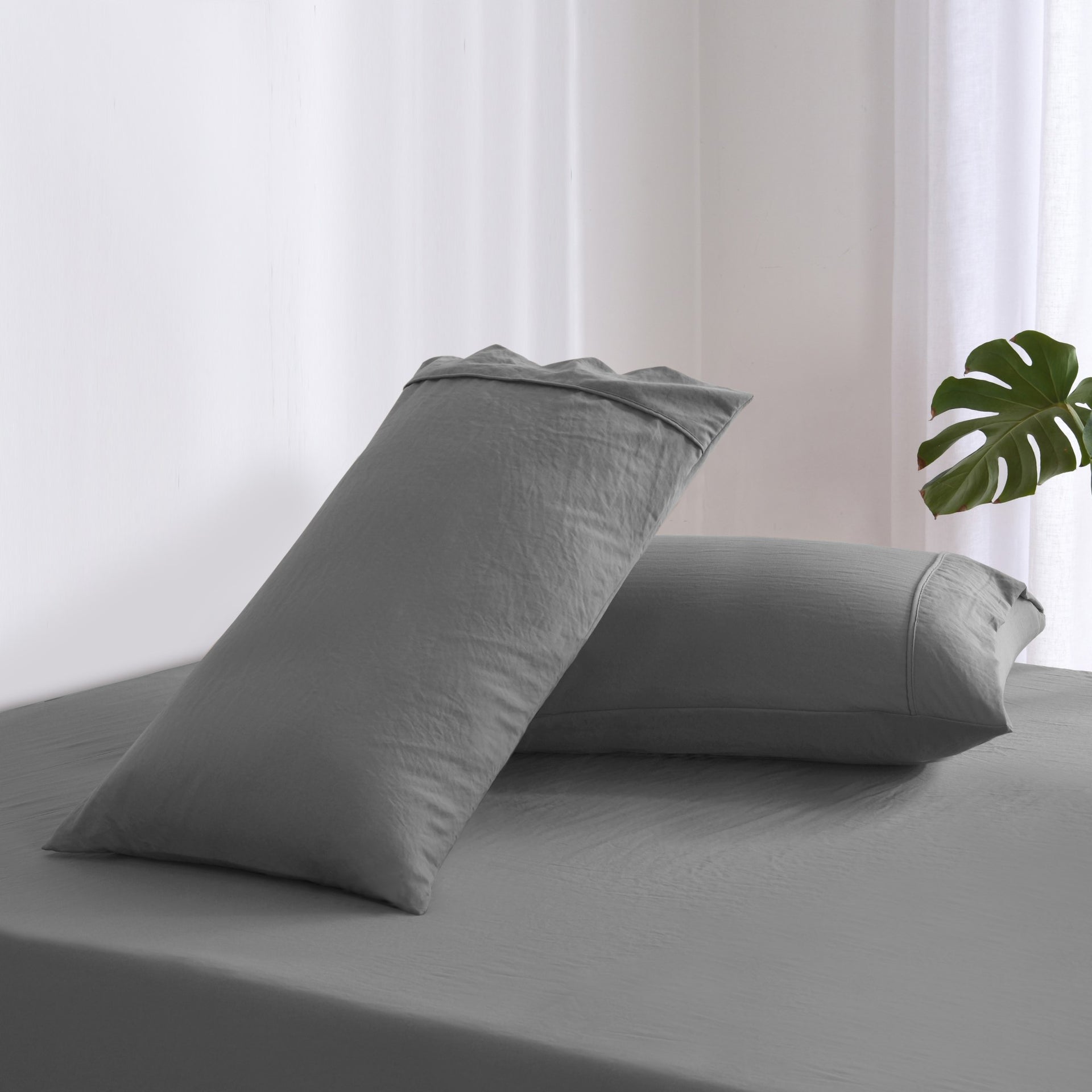 Dreamaker Fine Washed Microfibre  Pillowcase Twin Pack  Charcoal