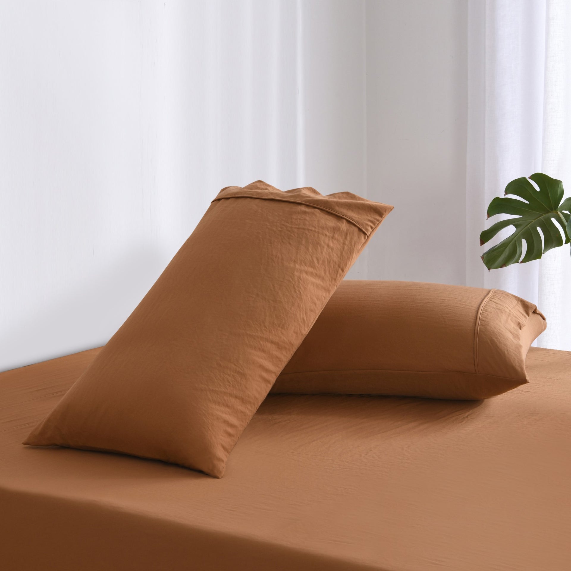 Dreamaker Fine Washed Microfibre  Pillowcase Twin Pack  Rust