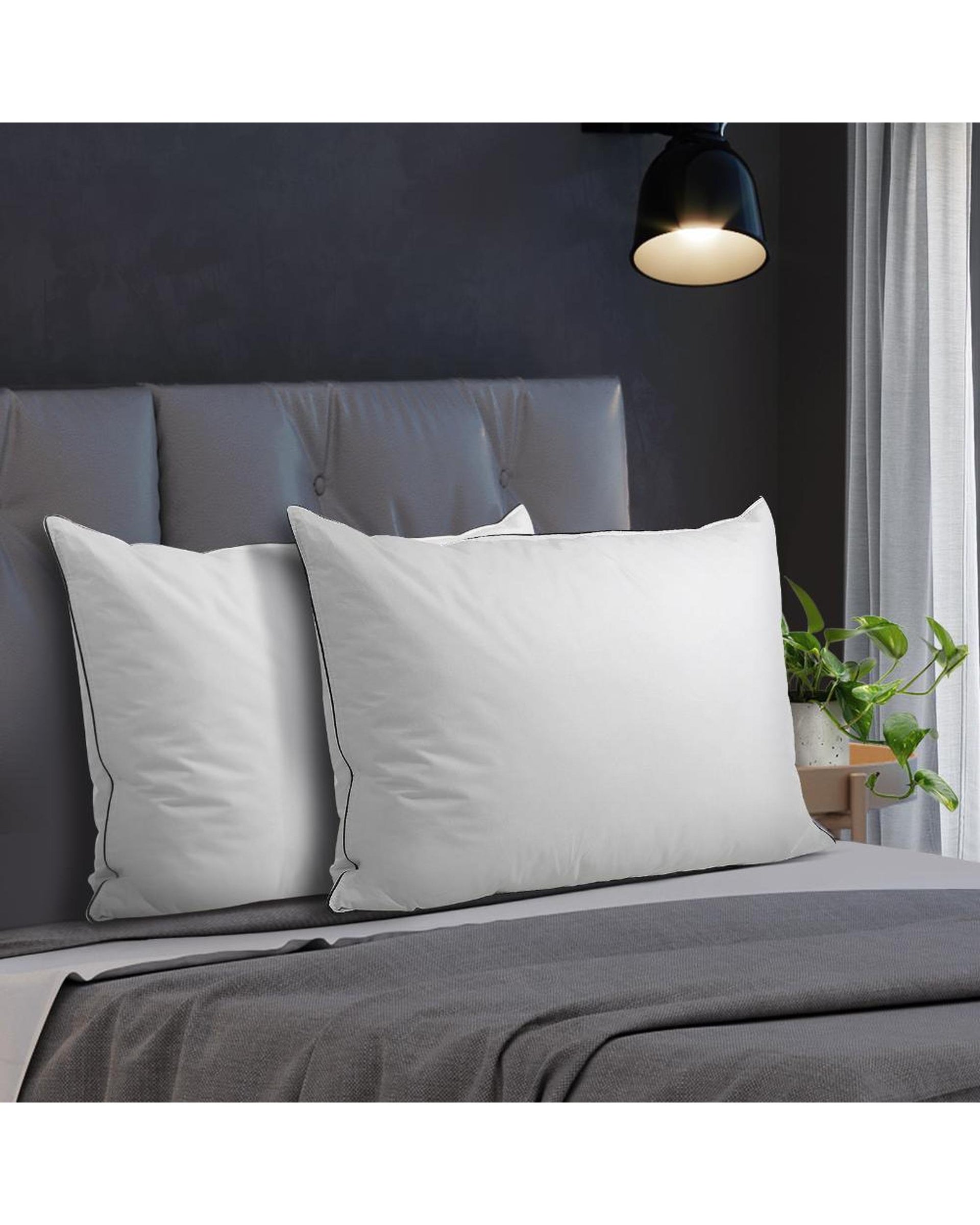 Bedra 75 x 50cm Pillow with Duck Feather Standard Pillow Cotton Cover Twin Pack Bedra