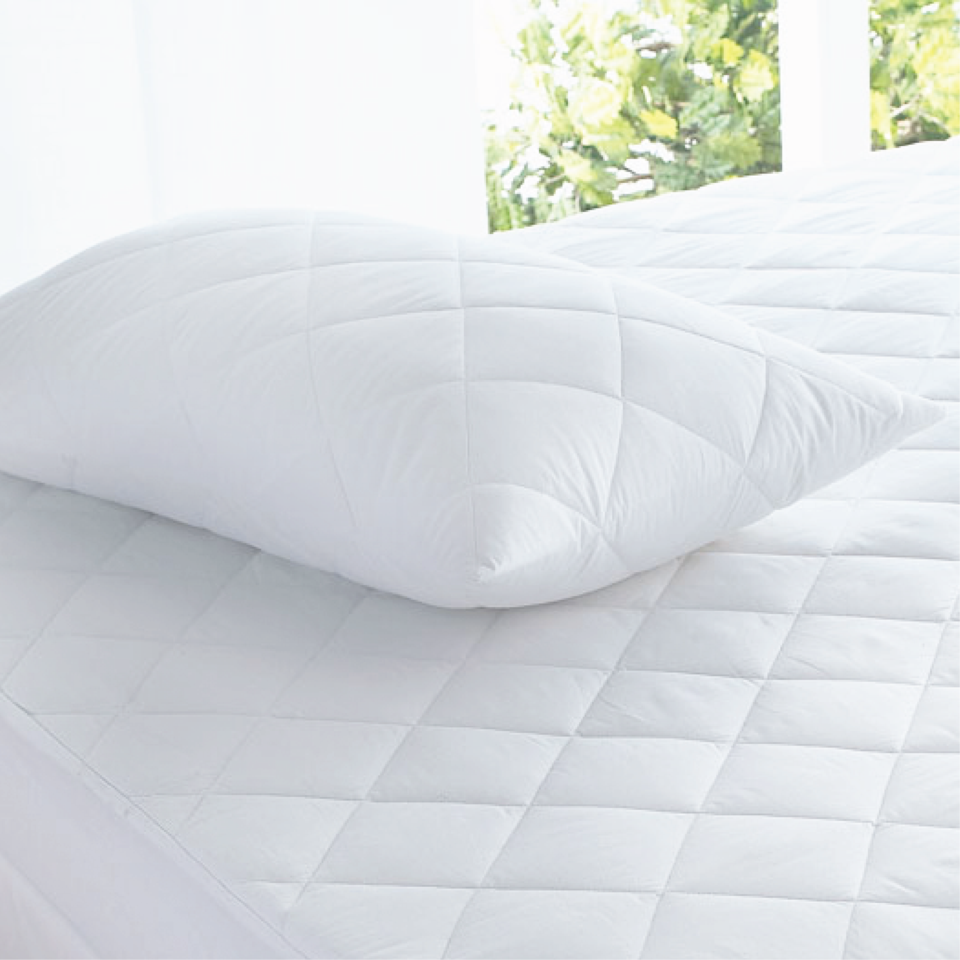 Luxor Australian Made Cotton Quilted Pillow Protectors