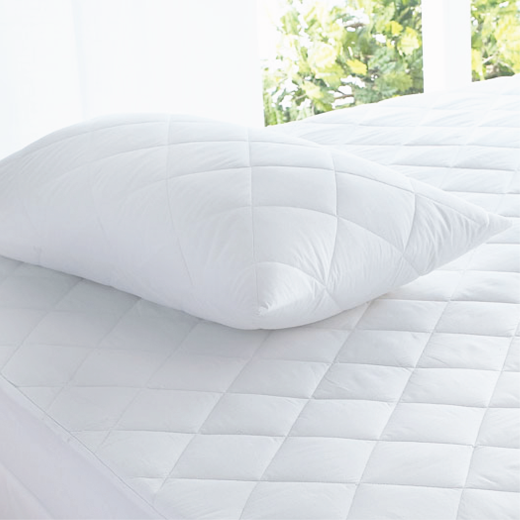 Luxor Australian Made Cotton Quilted Pillow Protectors