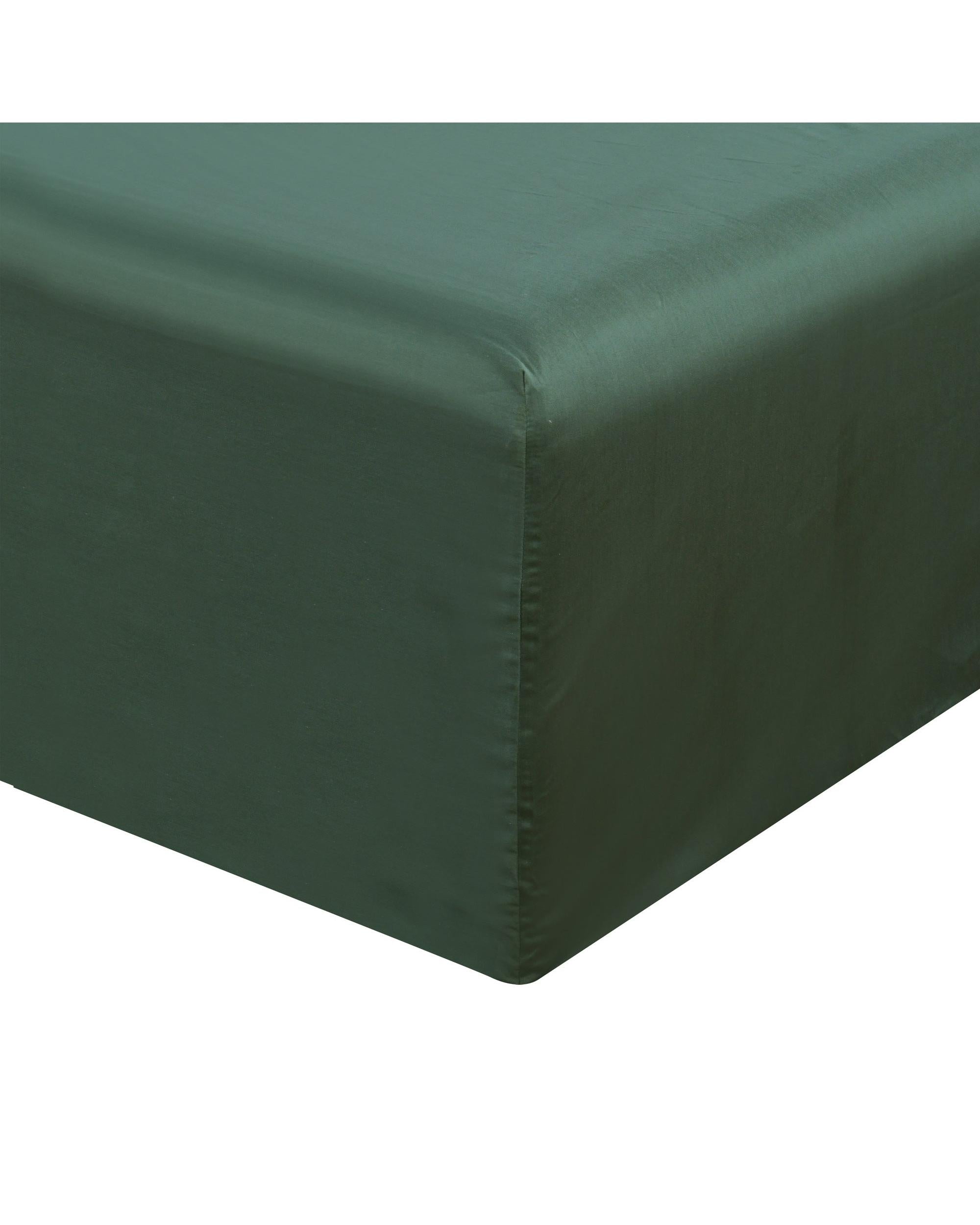 Bianca Bedding Rosebank Extra Long, Extra Wide Flat 500 TC Bamboo/Cotton Sheet Set - Green Bianca Bedding