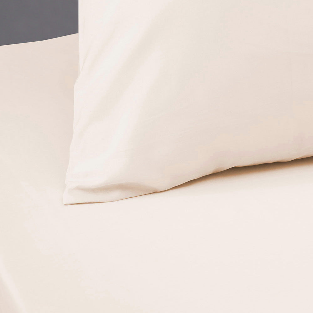 Bambury | Plain Dyed Standard Pillowcase 4 Pack Bambury