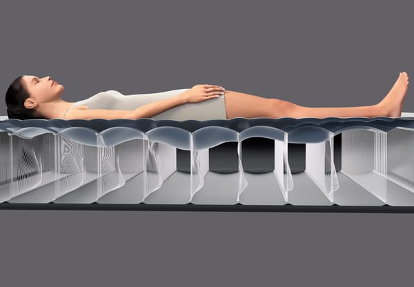 Intex Queen Premaire Ii Airbed 46Cm 64926