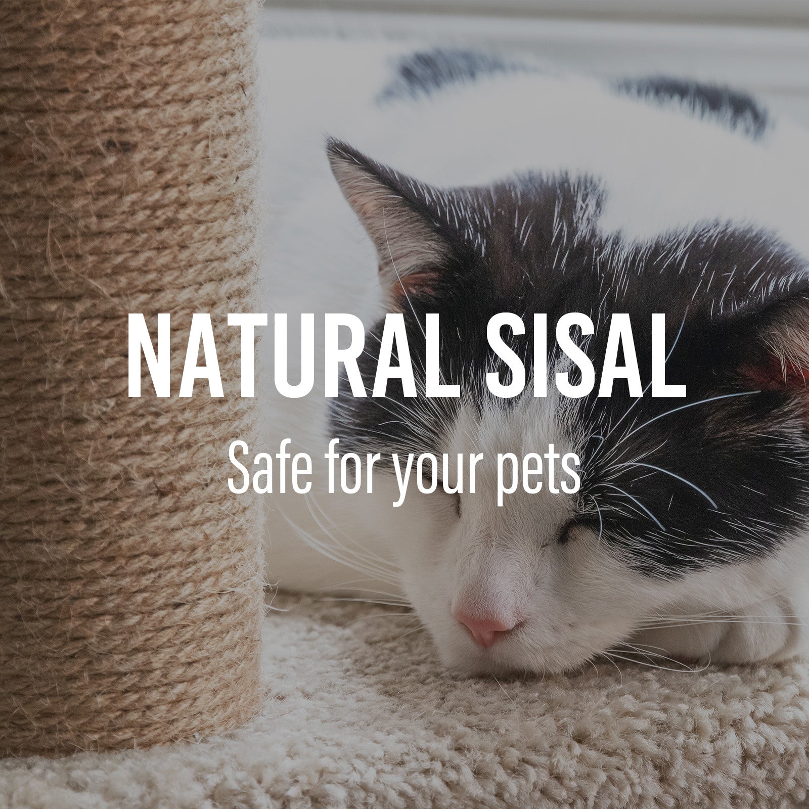 4Paws Cat Tree Scratching Post House Furniture Bed Luxury Plush Play 120cm - Beige Big Bedding Australia