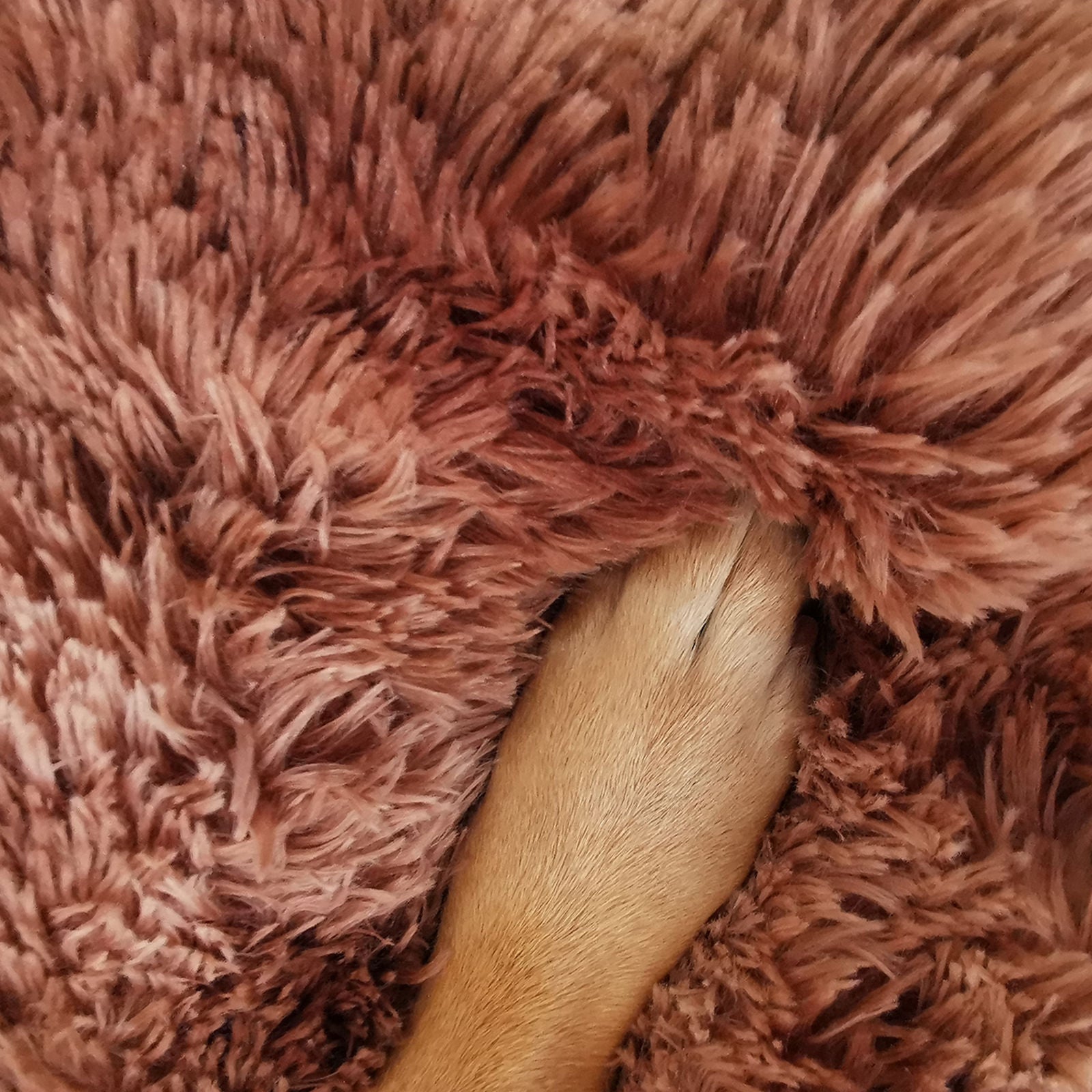 Pawfriends Dog Cat Pet Calming Bed Warm Soft Plush Round Nest Comfy Sleeping Kennel Cave 70 Big Bedding Australia