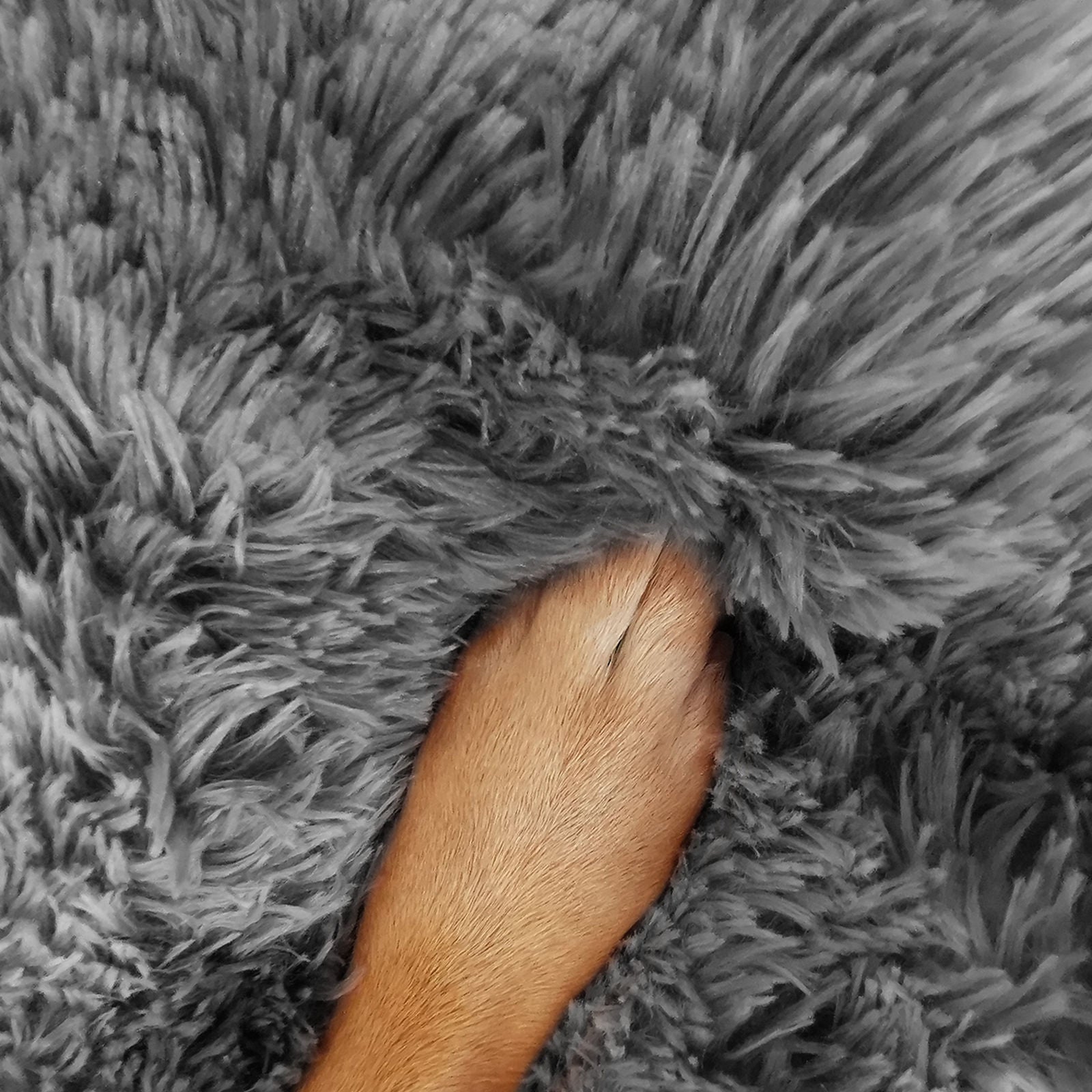 Pawfriends Dog Cat Pet Calming Bed Washable ZIPPER Cover Warm Soft Plush Round Sleeping 70 Big Bedding Australia