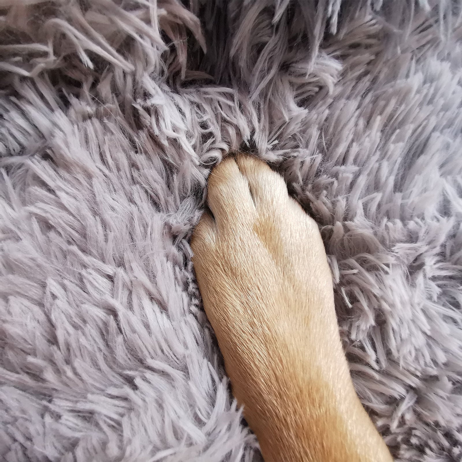 Pawfriends Dog Cat Pet Calming Bed Washable ZIPPER Cover Warm Soft Plush Round Sleeping 100 Big Bedding Australia