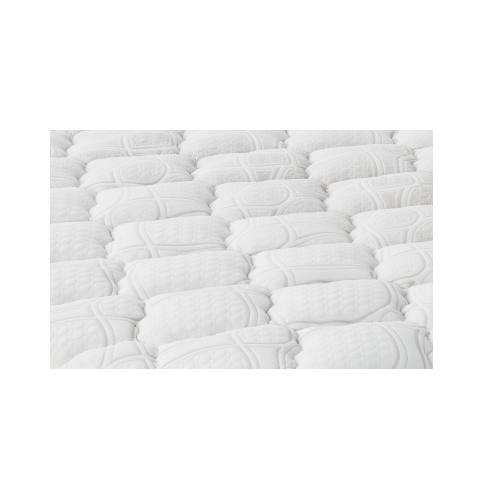 Sleepmaker Lifestyle Albany Biopedic Pocket Spring  - Medium/Plush SleepMaker