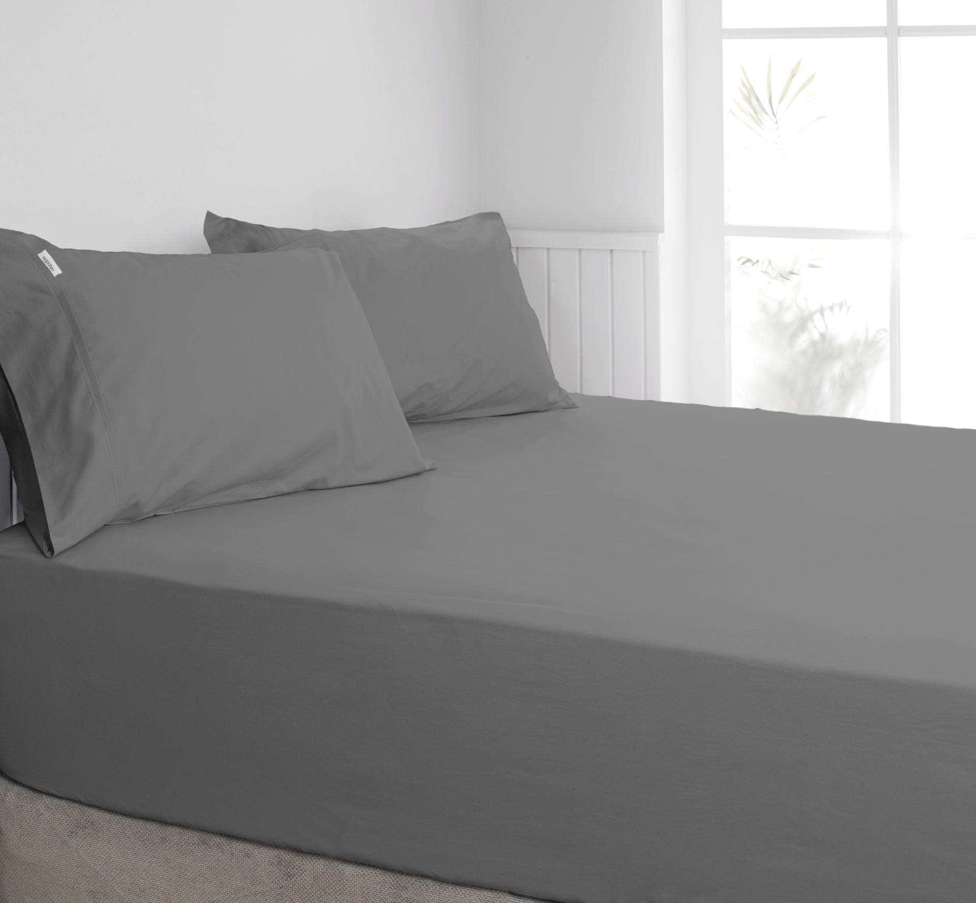 Algodon Bed Sheets ALGODON "300TC Cotton" FITTED SHEET Combo Set - CHARCOAL