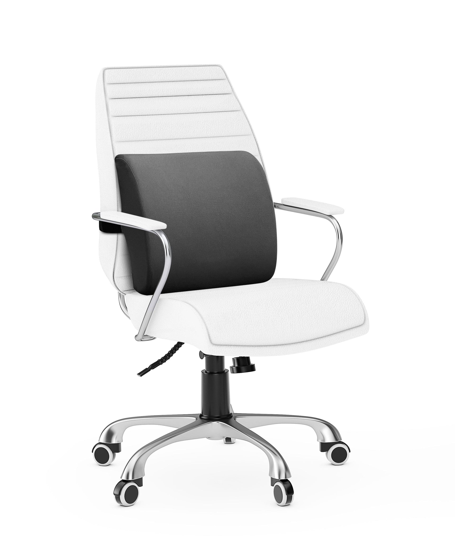 Bas Phillips Pillows/Cushions BAS PHILLIPS | BACK SUPPORT PILLOW