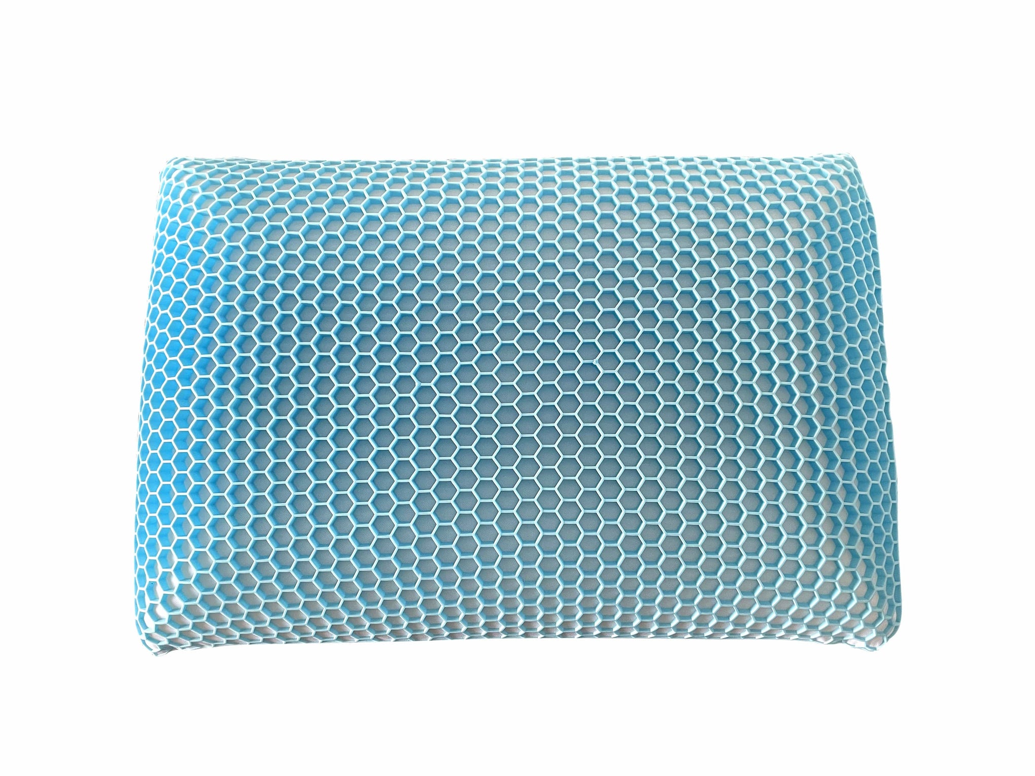 Bas Phillips Pillows/Cushions BAS PHILLIPS | MEM CELL PILLOW- STANDARD